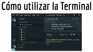 Cómo utilizar la Terminal | Comandos básicos de Bash